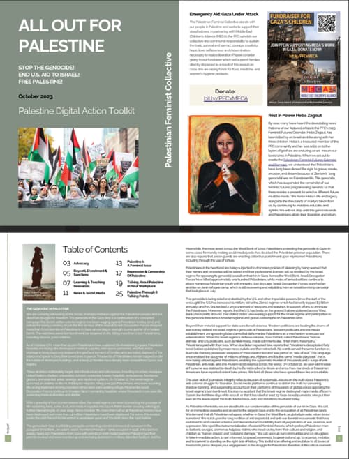 All Out Palestine Toolkit 3.0